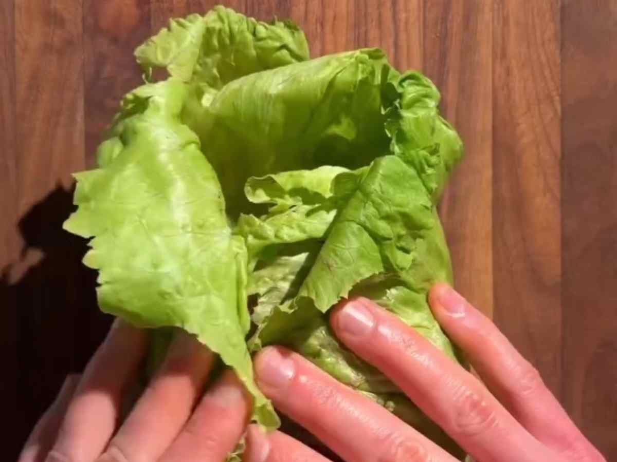 Hmaburguer de alface