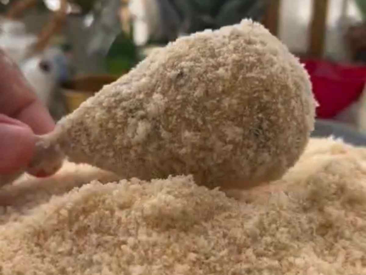 coxinha de frango empanado