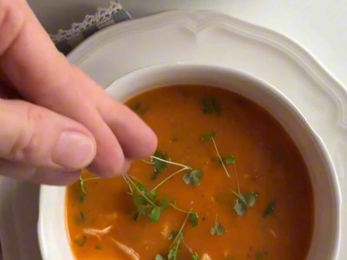 🥣 Sopa Cremosa de Frango com Vegetais: Uma Explosão de Nutrientes