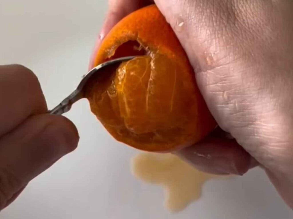 🍊 Sorvete de Bergamota (Servido na Própria Casca) sorvete de bergamota caseiro, sobremesa refrescante na casca da fruta, como fazer sorvete de mexerica cremoso, doce de bergamota com chantilly e labne, receita facil de sorvete de freezer, calda de bergamota artesanal para doce, achei cozinhando.
