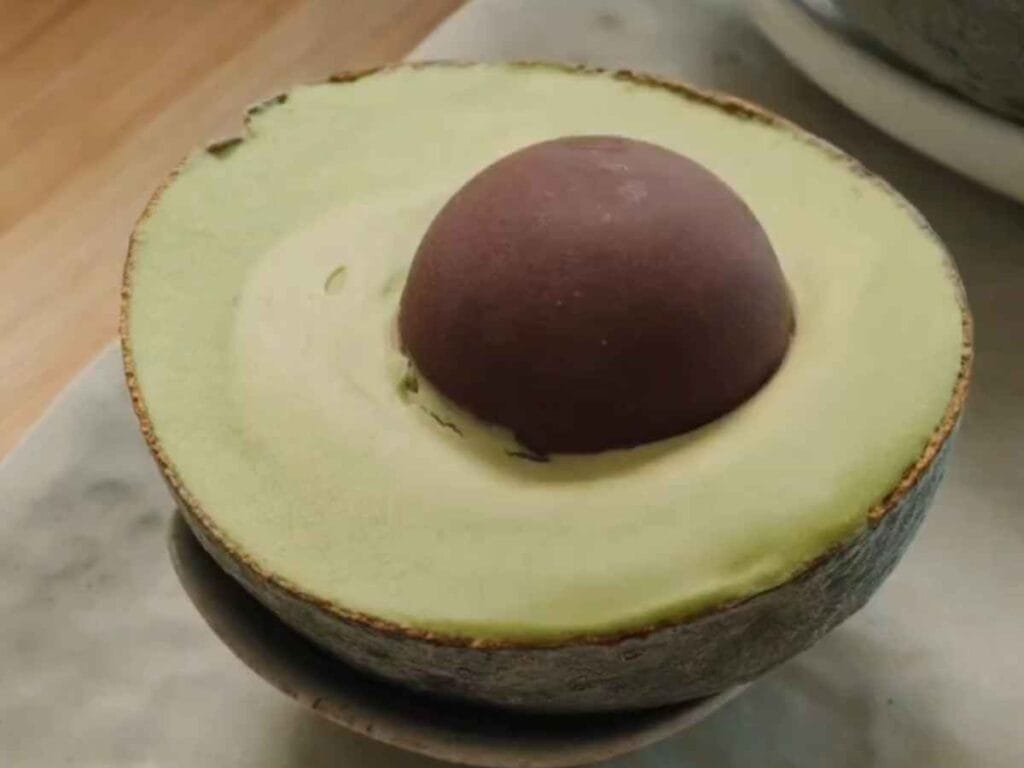 🥑 Sorvete de Abacate no Formato Original (Com Caroço de Chocolate) sorvete de abacate na casca original, sobremesa criativa de abacate com chocolate, sorvete caseiro com caroço de chocolate, doce de abacate com pistache e biscoito, confeitaria de ilusão visual passo a passo, sorvete facil de freezer sem sorveteira, achei cozinhando.